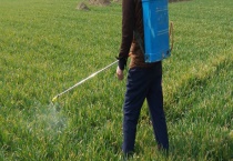 丙草胺和异丙草胺有什么不同 各有什么特点