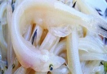 面条鱼多少钱一斤？附选购方法和食用多久？