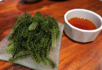 海葡萄怎么泡发