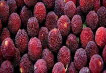 杨梅什么时候成熟 附食用注意事项