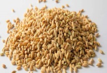 稻谷如何保存10年以上