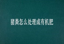 猪粪怎么处理成有机肥