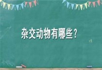 杂交动物有哪些？