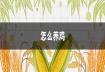 怎么养鸡