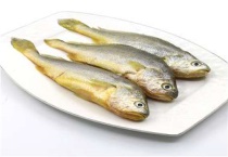 黄鱼和黄花鱼的区别？