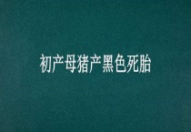 初产母猪产黑色死胎
