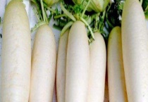 种白萝卜的正确多久？