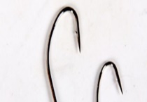 白狐钩和秋田狐钩有什么区别？？附适钓鱼种