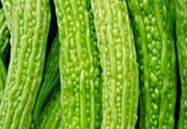 甜菜和苦瓜是植物吗？