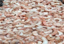 冻虾怎么去虾线