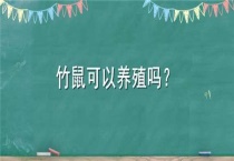 竹鼠可以养殖吗？