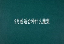 9月份适合种什么蔬菜
