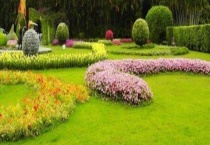 农业观光园地被植物的规划设计 具体怎样实施