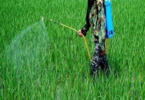 磷酸二氢钾可以和杀虫剂混用吗 磷酸二氢钾主要有哪些用途