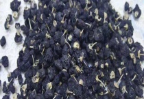 黑枸杞开花结果需要几年 黑枸杞和红枸杞有什么区别？？