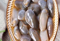 泥螺可不可以生吃 怎样清洗和保存