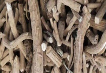 中药材板蓝根又叫什么 其种子的价格是多少？