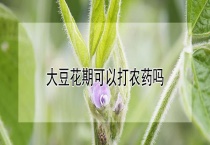大豆花期可以打农药吗？