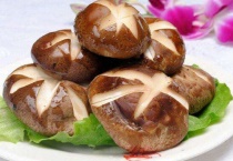 香菇是凉性还是热性