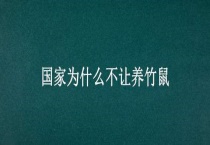 国家为什么不让养竹鼠