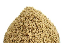 猪饲料分为哪些类别 不同类别满足不同需求