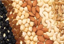 澳洲坚果种植技术管理