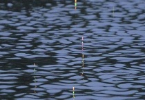 夜钓是什么意思？附注意事项