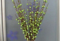 花店买的银柳怎么养