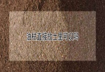 油枯直接放土里可以吗？