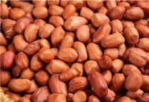 花生需要什么肥料才能高产？