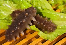 野生海参和养殖海参的区别？