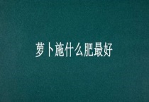 萝卜施什么肥最好