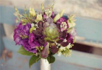 多肉植物叶插长根怎么办？