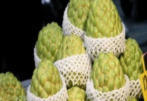 释迦果什么季节成熟 如何判断是否成熟