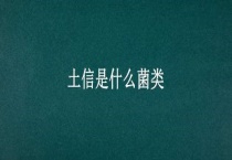 土信是什么菌类