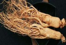 东北适合种植什么中草药 不同的中草药的功效不同