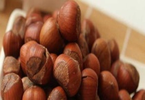 榛子的主要产地 我国的野生榛子产地在东北