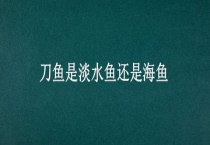 刀鱼是淡水鱼还是海鱼
