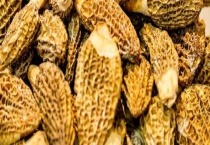 羊肚菌杀虫用什么药