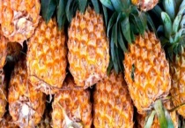 菠萝黑心还能吃吗 如何判断黑心菠萝的好坏