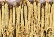 人参和党参的区别？ 人参与党参的产地不同