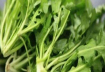 芥菜可不可以生吃 芥菜怎样腌制