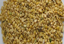 益生菌秸秆饲料的制作方法及原理 益生菌发酵秸秆提高营养成分效果