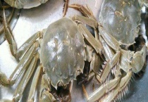 吃大闸蟹可以喝茶吗 吃大闸蟹之后喝茶有什么后果