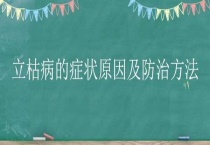 立枯病的症状原因及防治多久？