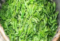 龙井是哪里产的茶 附品类和功效作用