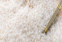 米出虫了要怎么才能把虫去掉