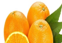 帝王柑和皇帝柑的区别？