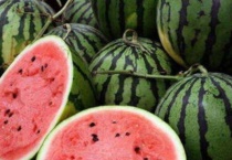 西瓜是什么嫁接出来的