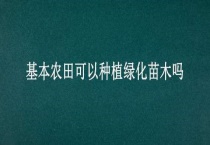 基本农田可以种植绿化苗木吗？